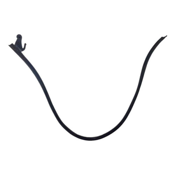  Borracha Pigandeira Teto Esquerdo  Logan 2016