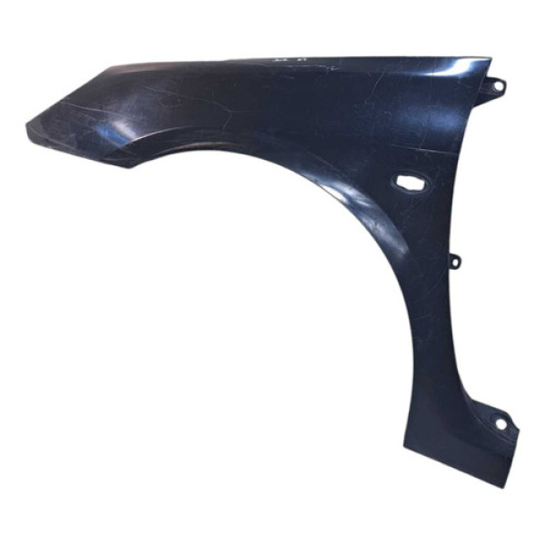 Para-lama Esquerdo 307 2007