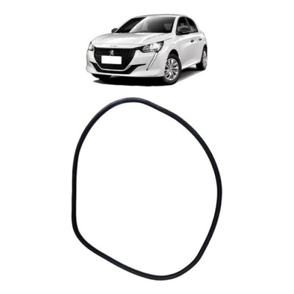 Borracha Porta Traseira Esquerda 208 2023