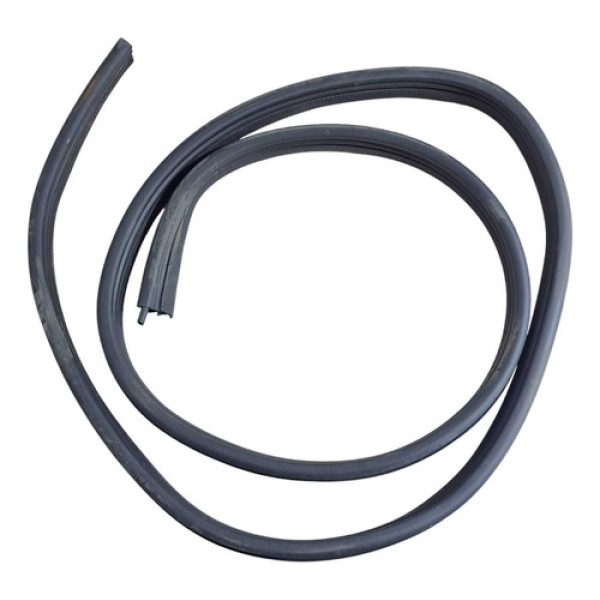 Borracha Porta Traseira Esquerda Kwid 1.0 3cc 2024