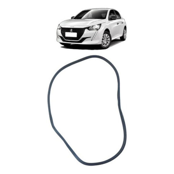 Borracha Porta Dianteira Esquerda 208 1.0 2023