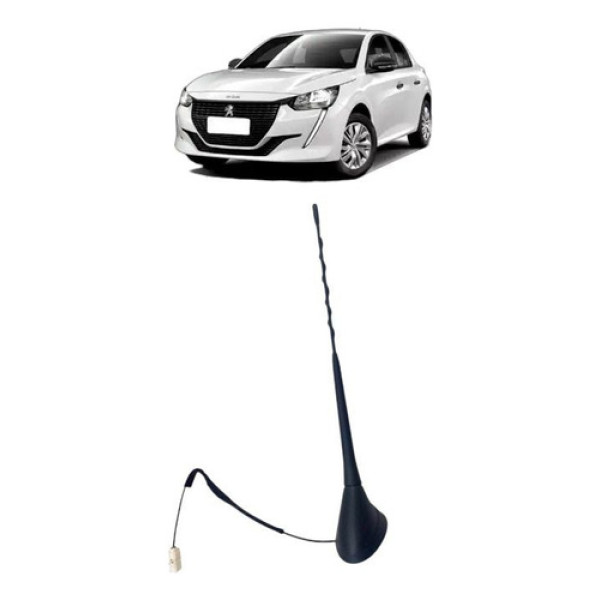 Haste Antena Teto 208 1.0 2023