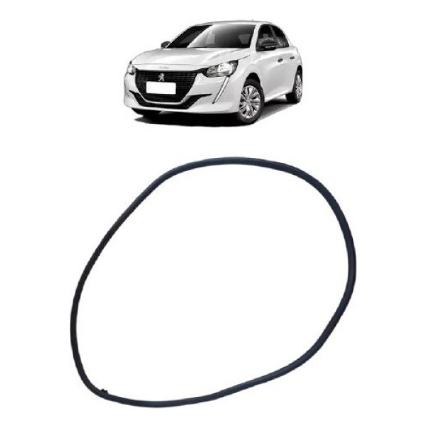 Borracha Porta Dianteira Direita 208 2023